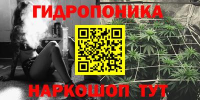 крисы Ирбит