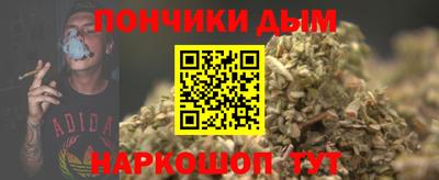 крисы Ирбит