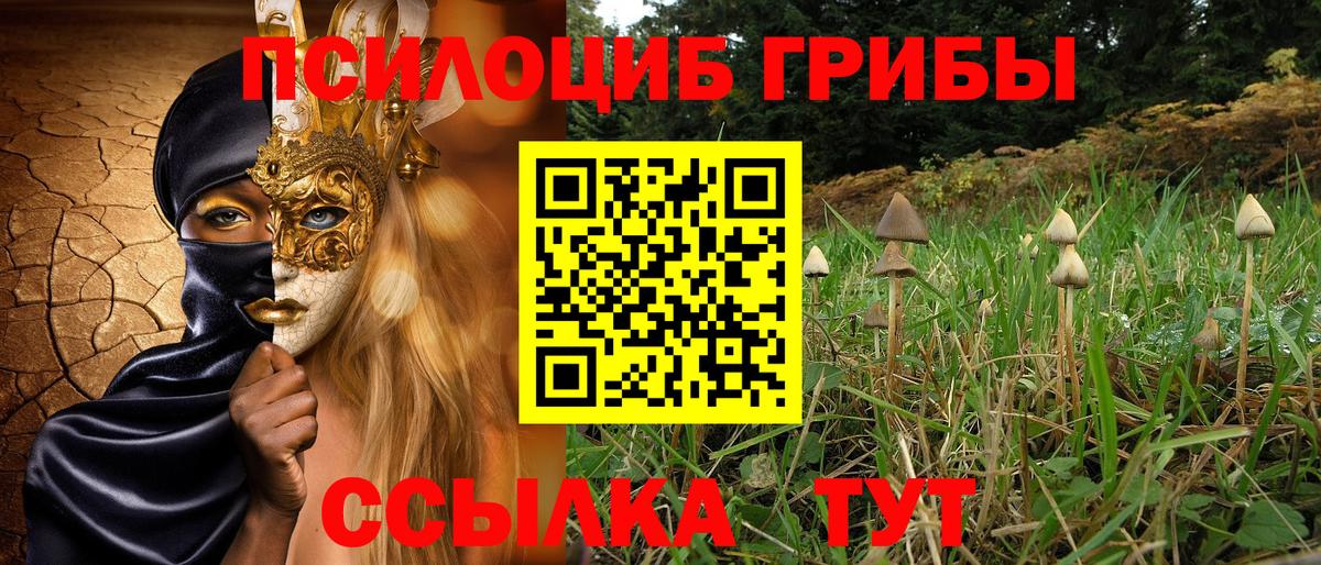 Псилоцибиновые грибы MAGIC MUSHROOMS Коряжма
