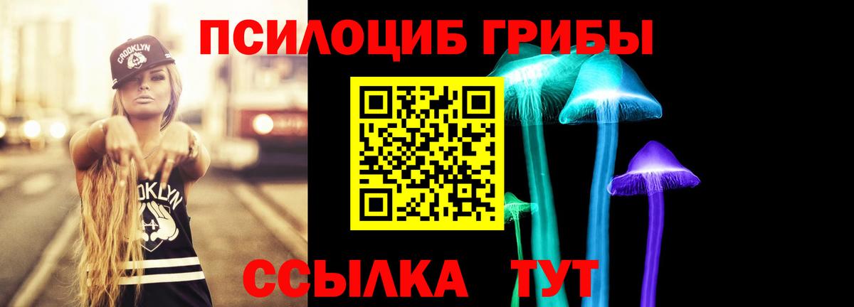 Псилоцибиновые грибы Magic Shrooms  купить закладку  Коряжма  Вход с VPN 